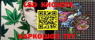 прущие грибы Ливны