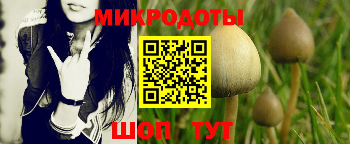 Галлюциногенные грибы Psilocybine cubensis  Псилоцибиновые грибы Psilocybe  даркнет сайт  Братск  Вход с VPN 