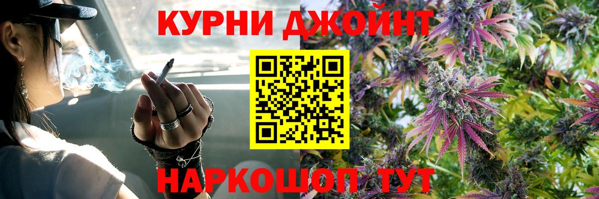 Конопля OG Kush Братск